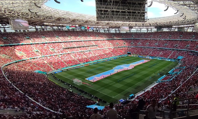 球场上的青 球场上的青